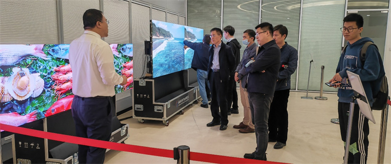 635f80d56408c.jpg