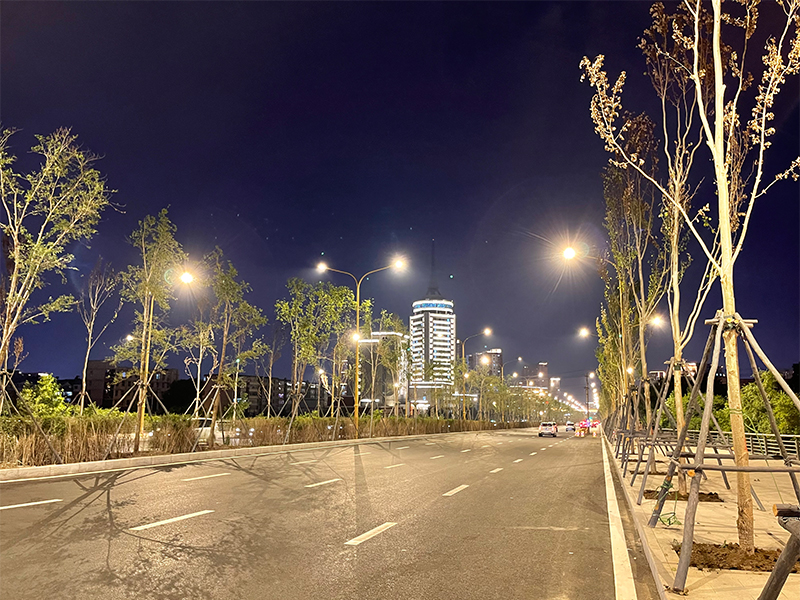 04.jpg