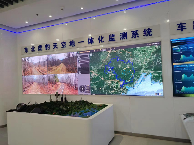 吉視傳媒展廳東北虎豹園區(qū).jpg